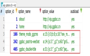 WordPress报错：unserialize(): Error at offset 386 of 1110 bytes