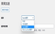 WordPress果果加速插件使用教程