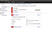 Windows系统上Nginx无法访问