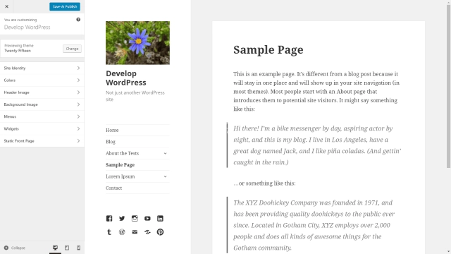 主题选项——自定义 API 在 WordPress 4.6 中显示自定义器,使用的是 Twenty Fifteen 主题。