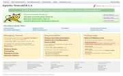 如何在 Ubuntu 22.04 上安装 Tomcat 10