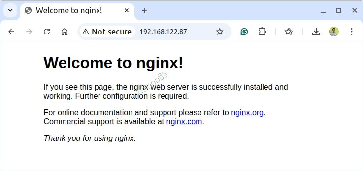 如何在 Arch Linux 上安装 Nginx、PHP、MariaDB 和 PhpMyAdmin 在 Arch Linux 中检查 Nginx