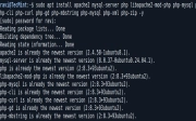 如何在 Ubuntu 24.04 上安装 CakePHP