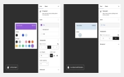 theme.json