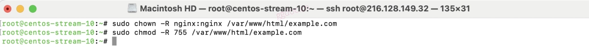 如何在 CentOS Stream 10 上设置 Nginx 服务器块（Server Blocks）