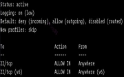 如何在 Ubuntu 18.04 上使用 UFW 配置防火墙