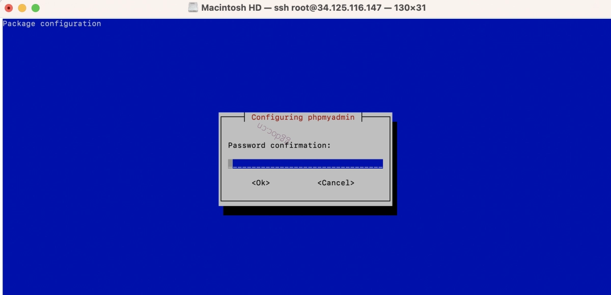 如何在 Debian 12 上安装 phpMyAdmin 和 Apache