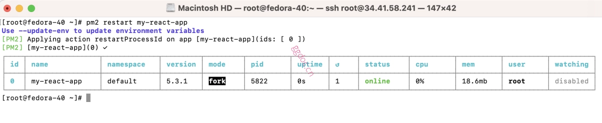 如何在 Fedora 40 上使用 PM2 部署 React 应用