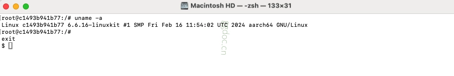 如何进入正在运行的 Docker 容器