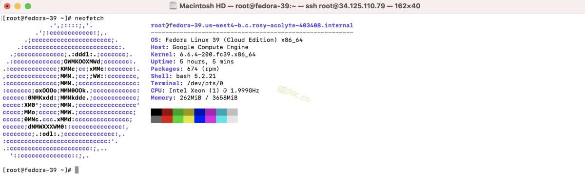 如何在 Fedora 39 上安装 neofetch