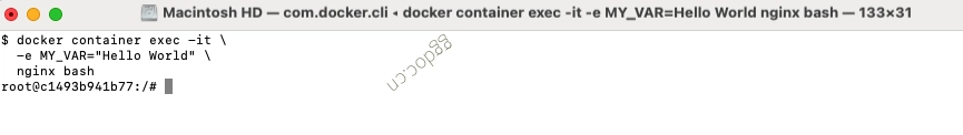 如何进入正在运行的 Docker 容器