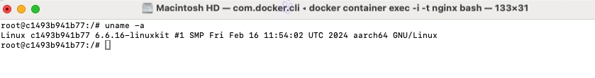 如何进入正在运行的 Docker 容器