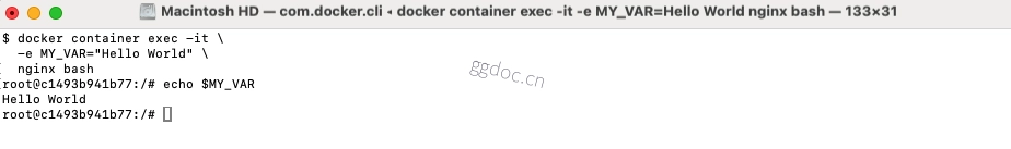 如何进入正在运行的 Docker 容器